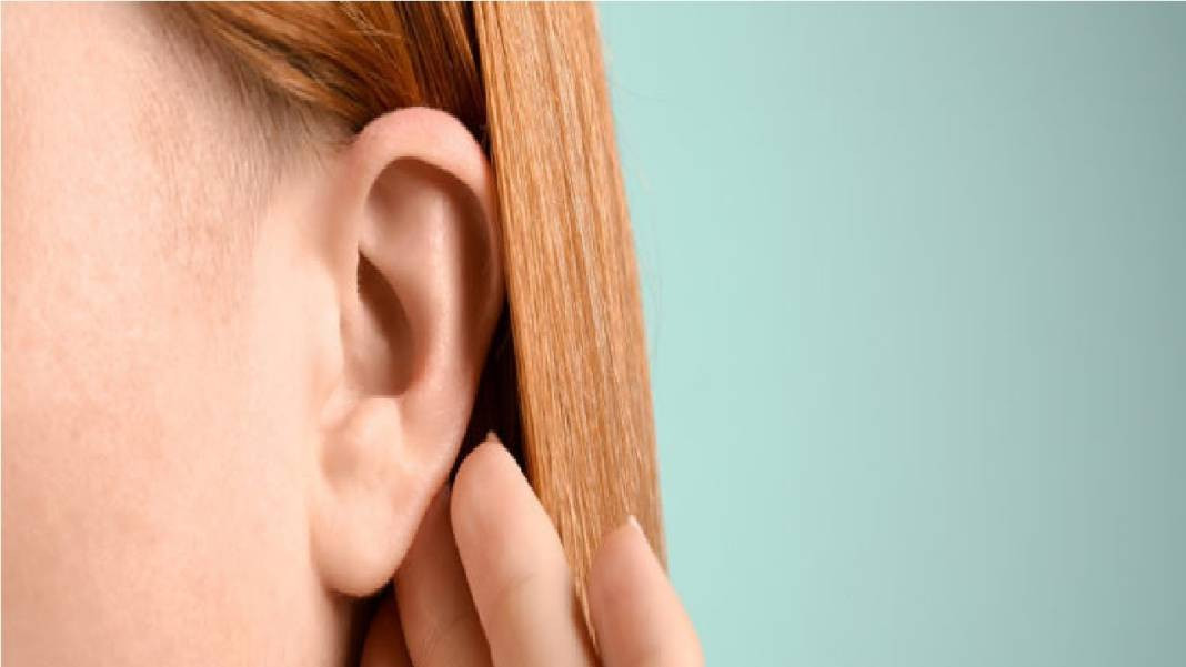 Kulak arkası neden peynir gibi kokar? - Resim: 16